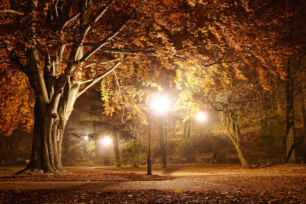 路灯,公园夜晚风景,秋天树木风景,美丽风景,美丽景色,自然美景,风景