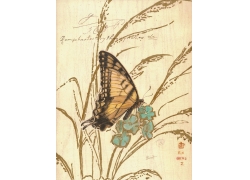 蝴蝶花卉中国画