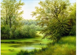 美丽的柳树河水风景画