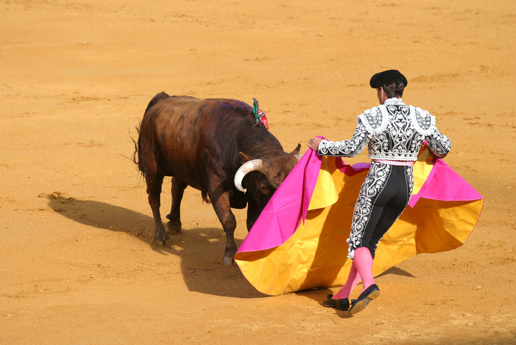 西班牙斗牛士摄影 图片素材下载-体育运动-生活百科-图片素材 - 集图网 www.jituwang.com